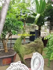 Máy tạo nước nóng bơm nhiệt Nirvana N116