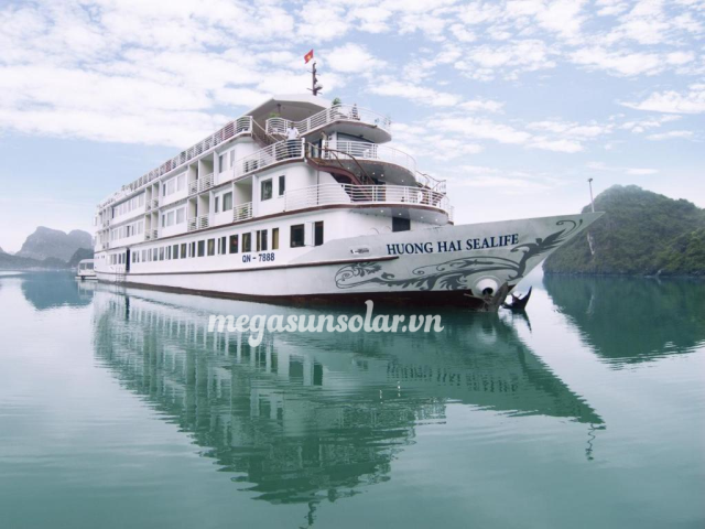 Megasun tại Tàu du lịch Sealife