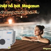 may-nuoc-nong-dung-cho-ho-boi-bom-nhiet-ho-boi-megasun-mgs-35hp-s-2