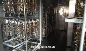 Sấy lạnh thực phẩm bằng công nghệ sấy bơm nhiệt