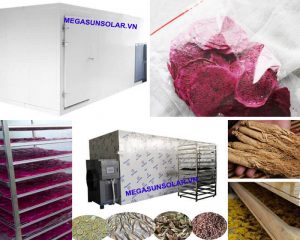 máy sấy lạnh thực phẩm