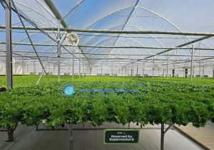 Bộ trao đổi nhiệt heat exchanger bằng đồng MEGASUN-HEX-500-U-PN10-CU-304-PU-304