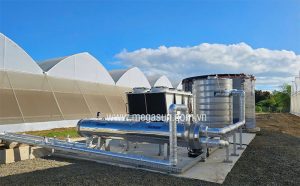 Ứng dụng bộ trao đổi nhiệt ống chùm Megasun